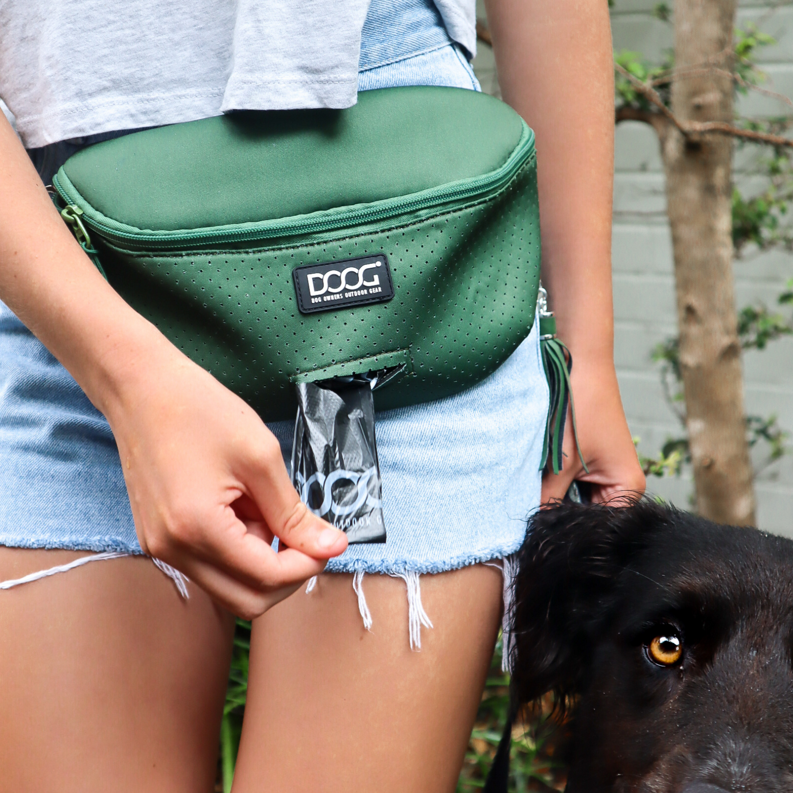 GEAR FOR DOG OWNERS