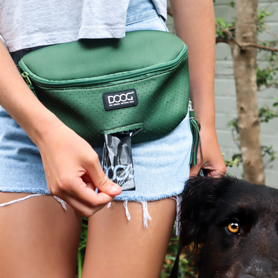 GEAR FOR DOG OWNERS