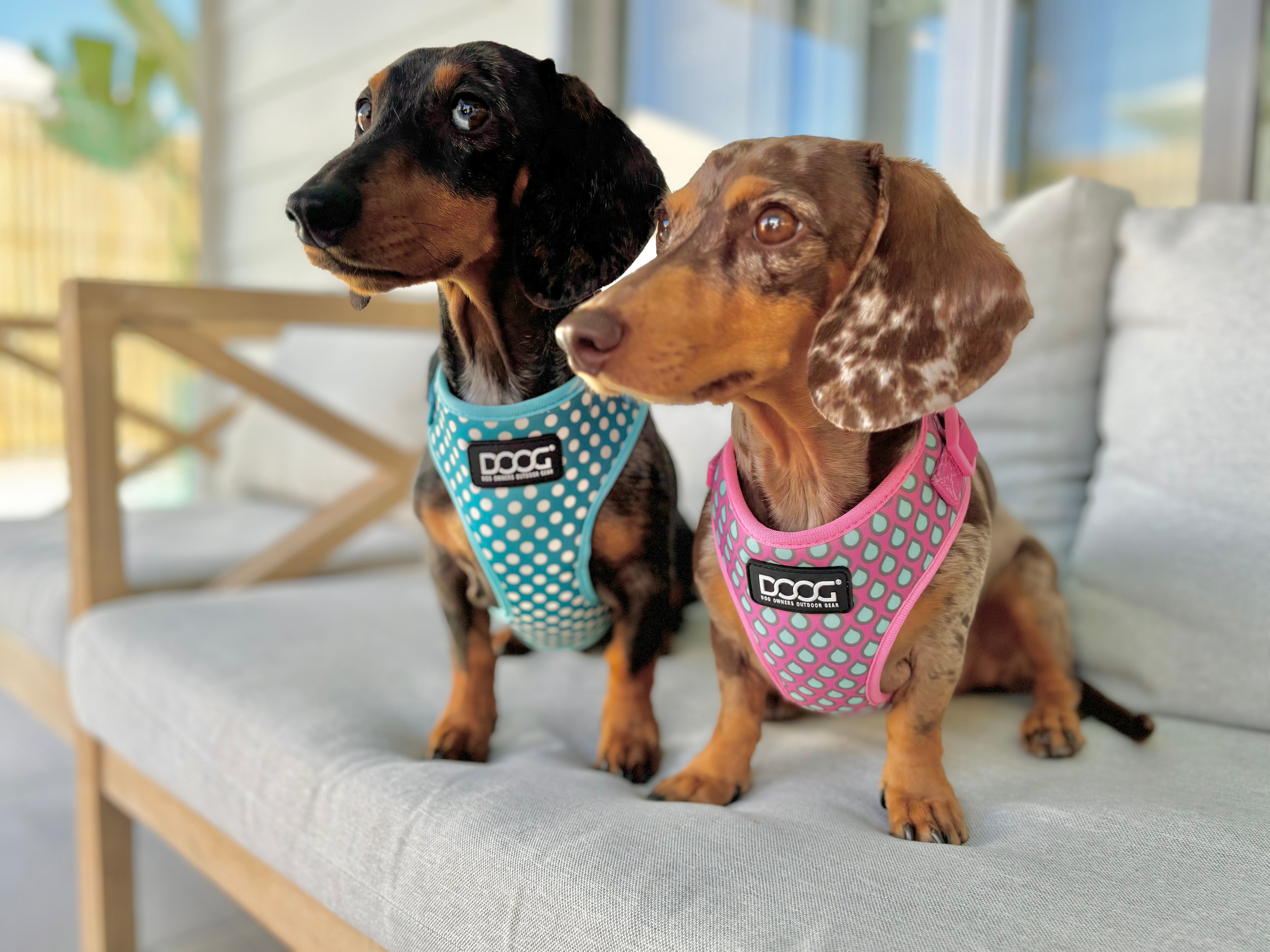 Soft Harnesses