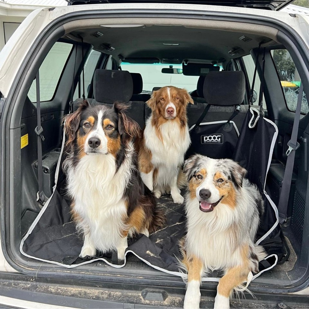 Doog Car Seat Cover