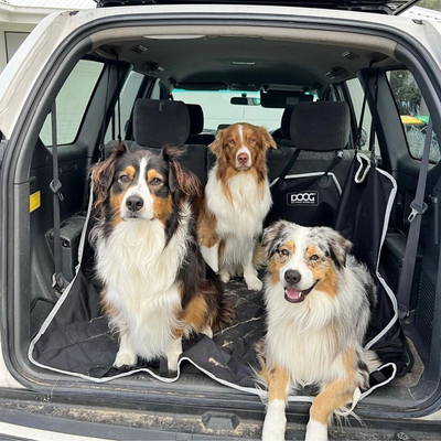 Doog Car Seat Cover