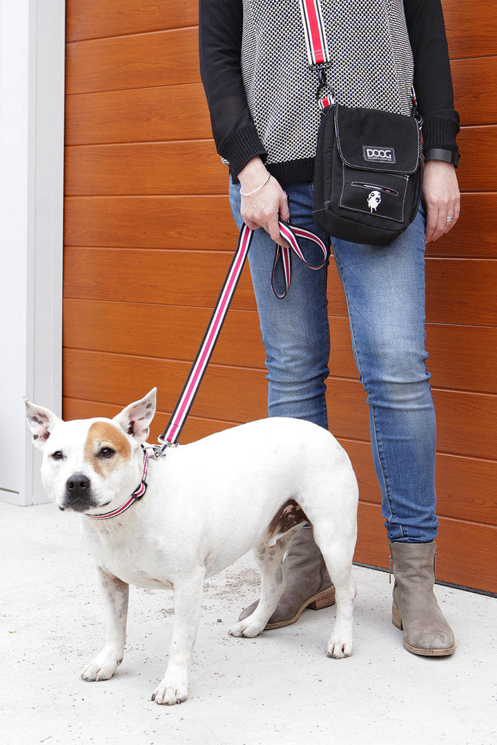 Walkie Bag