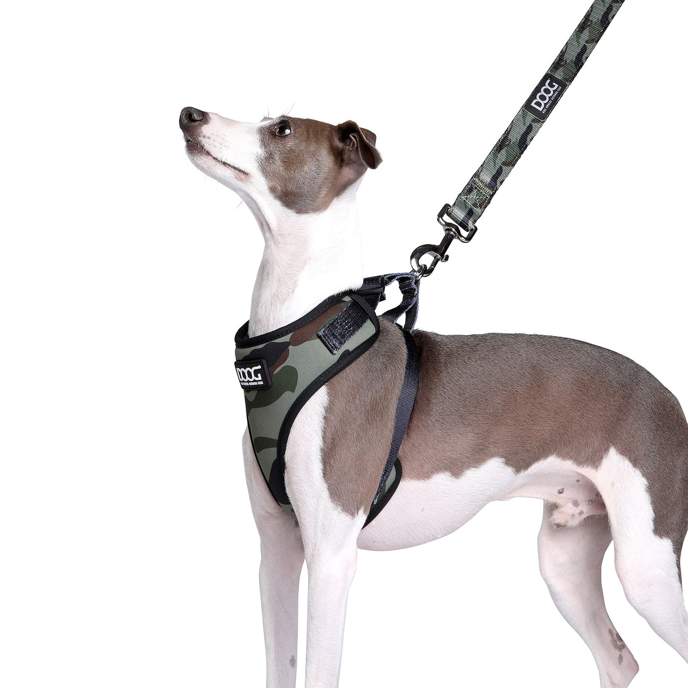 Neoprene Dog Leash