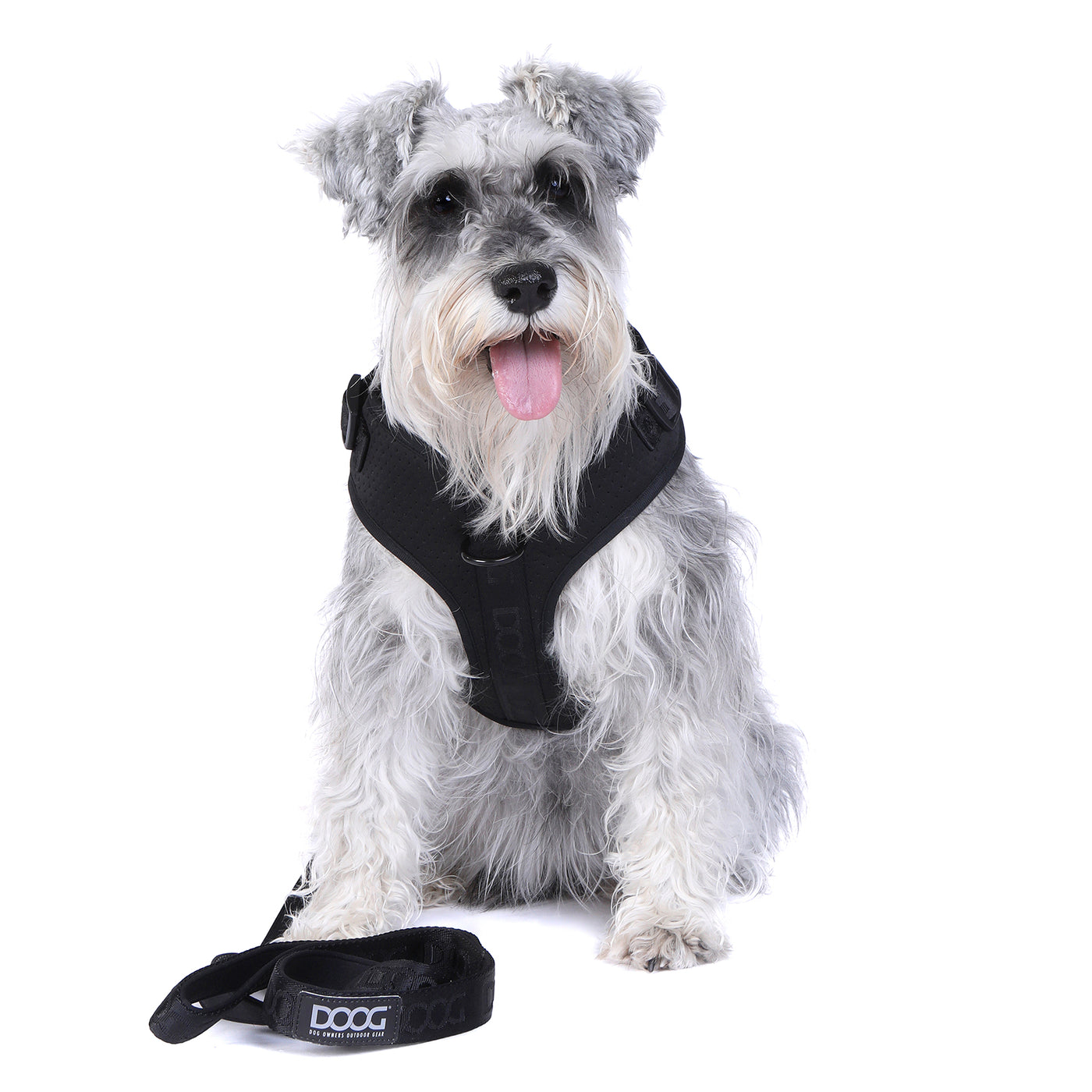 DOOG Neosport Soft Harness Black