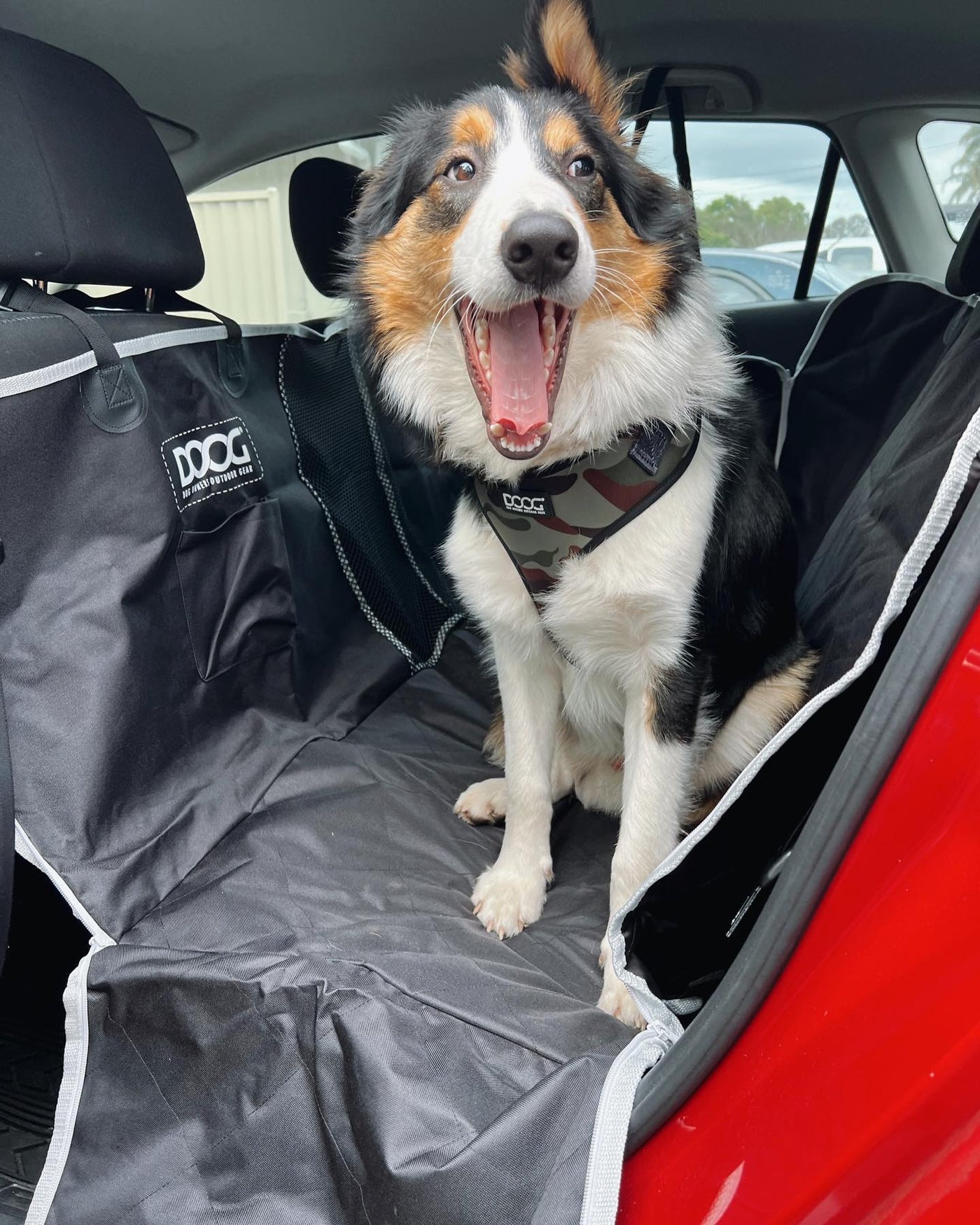 Travel Bundle - Car Cover