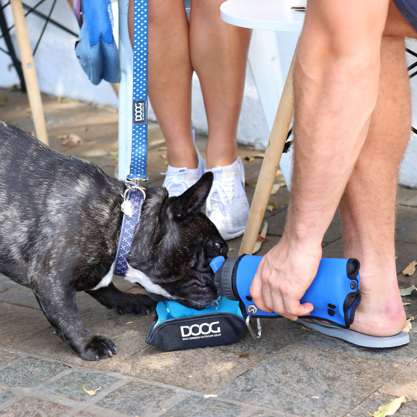 3 in 1 Water Bottle/Bowl