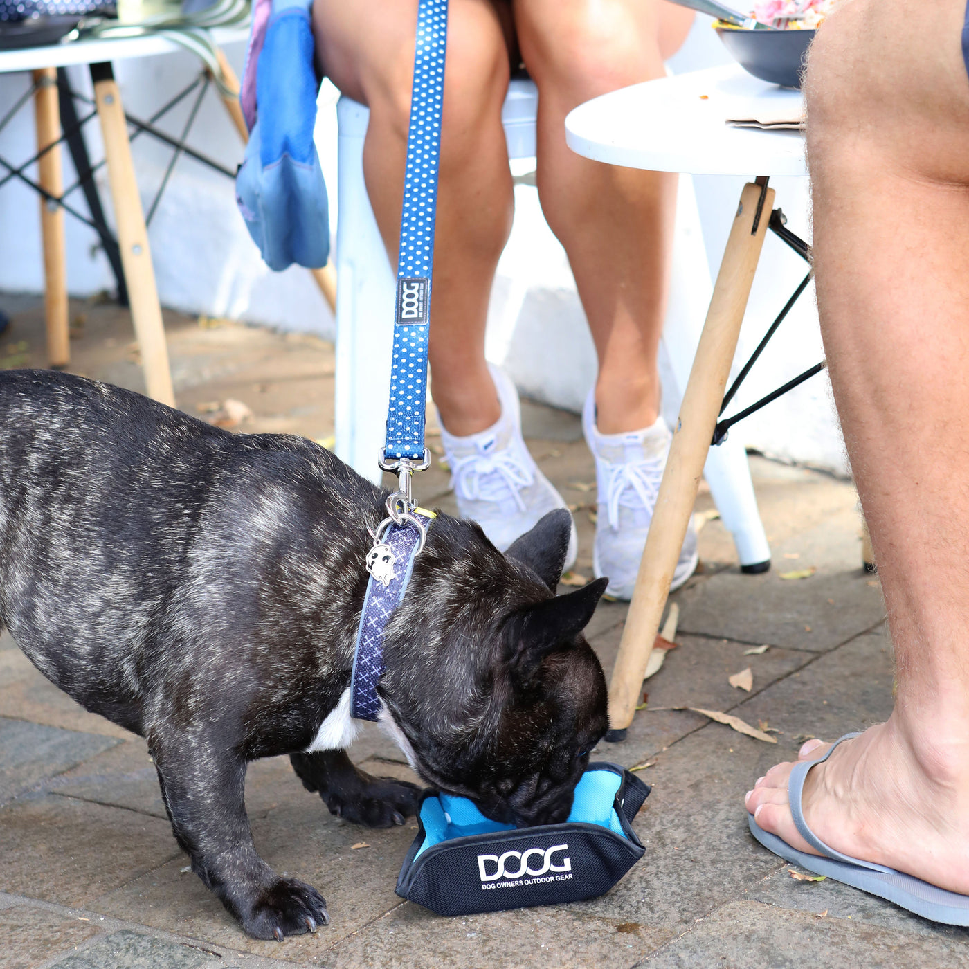 3 in 1 Water Bottle/Bowl