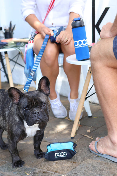 3 in 1 Water Bottle/Bowl