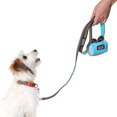 Walkie Pouch - Beethoven