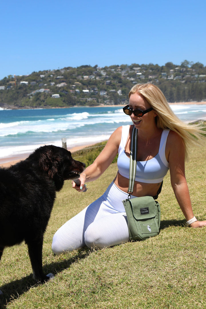 Walkie Bag