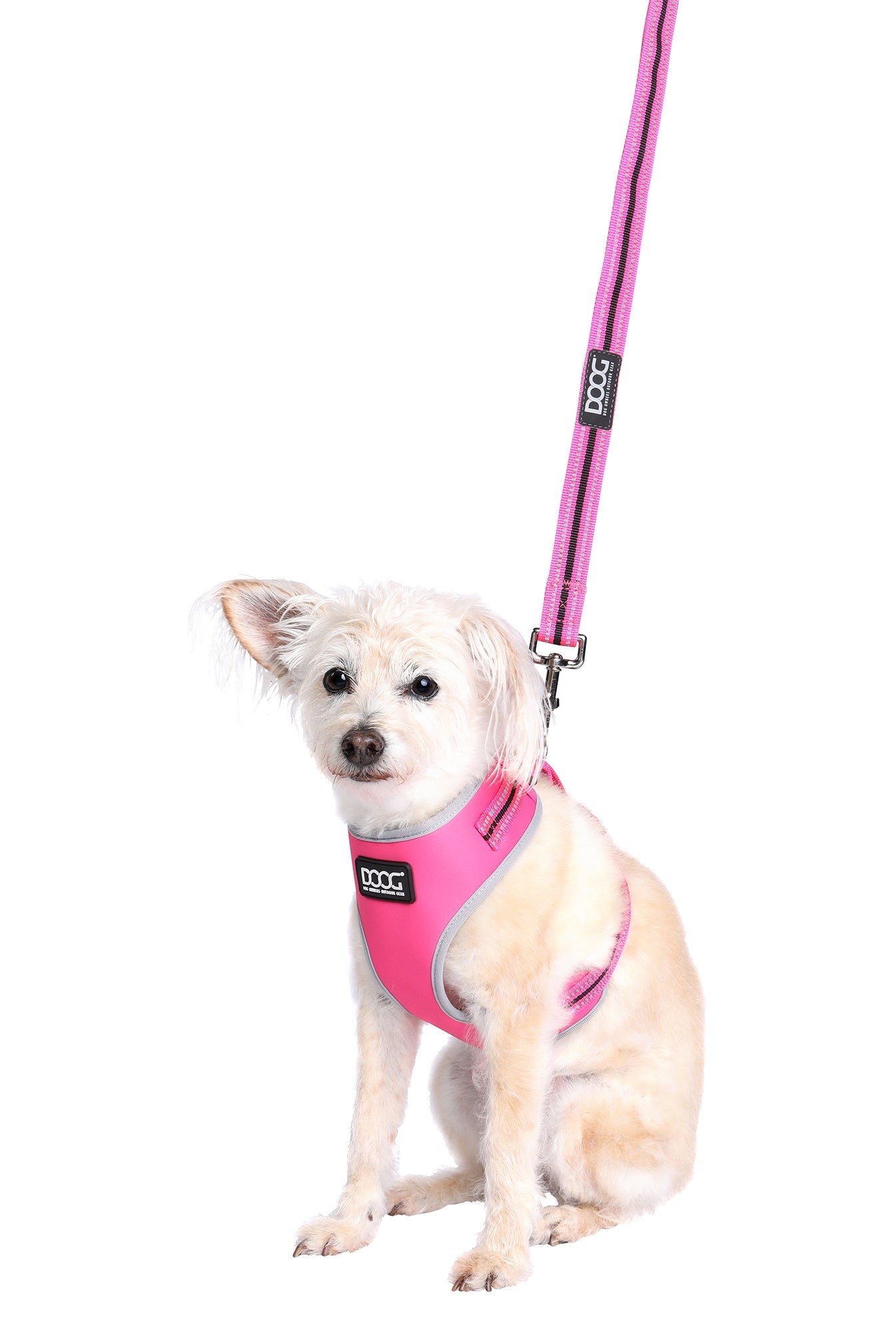 Neoprene Dog Leash