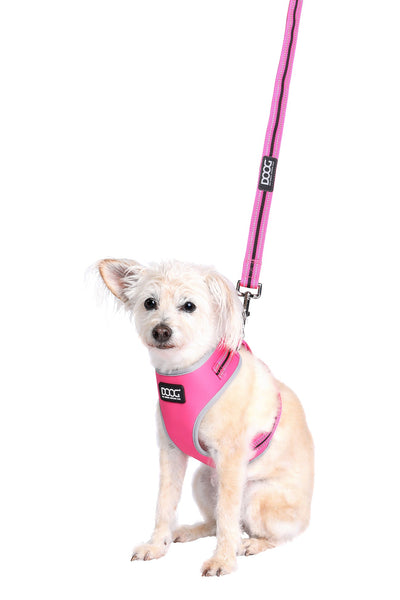 Neoprene Dog Leash