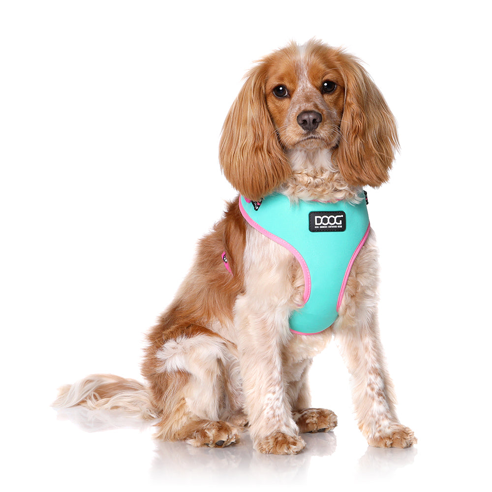 Dog Harness - DOOG