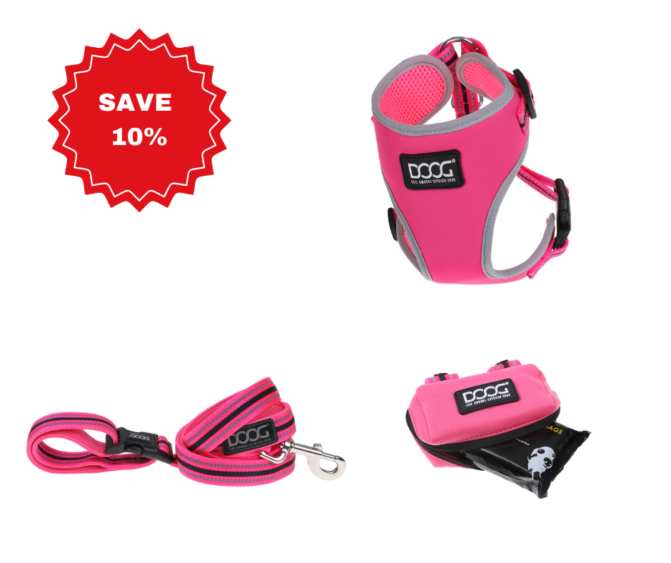 Walkie Bundle - Pink