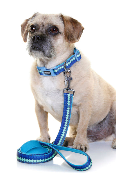 Neoprene Dog Leash