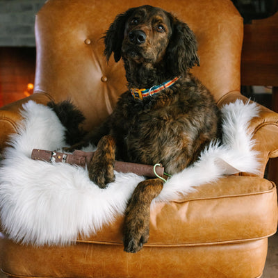 THE NEW STICK FAMILY - UNCLE CHUCK