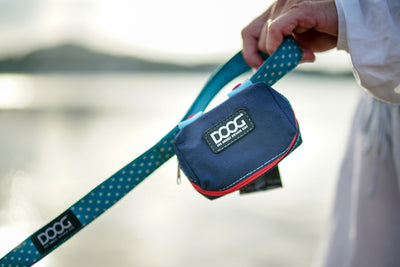 Neoprene Dog Leash