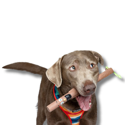 THE NEW STICK FAMILY - WOODY (HUSBAND)