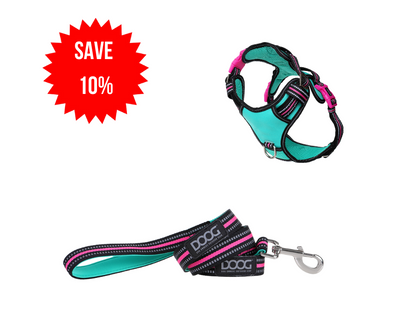 NeoTech Bundle - Rin Tin