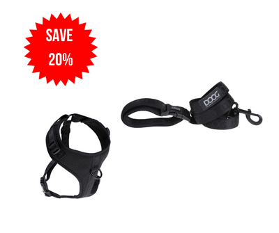 Black Harness and Lead Bundle