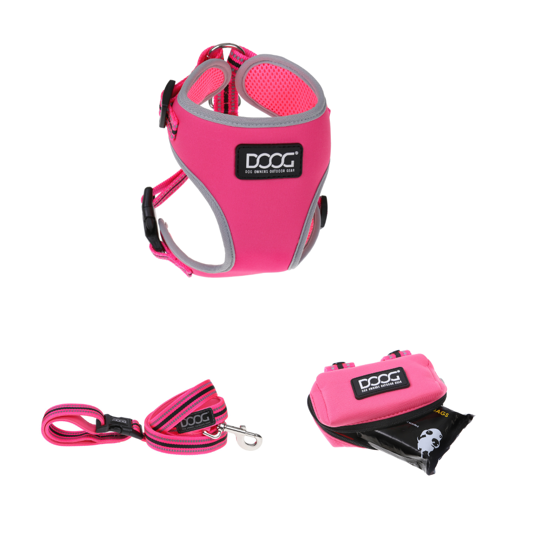 DOOG Pink Dog Supplies Bundle