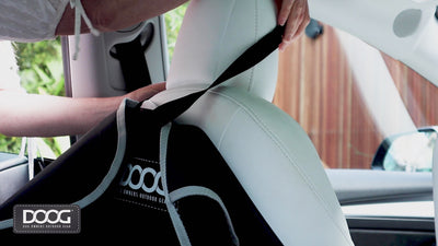 Doog Car Seat Cover
