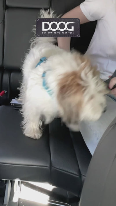DOOG Car Seat