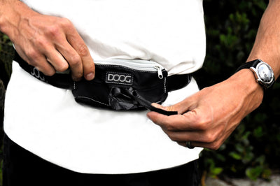 DOOG Mini Belt- Navy & Yellow