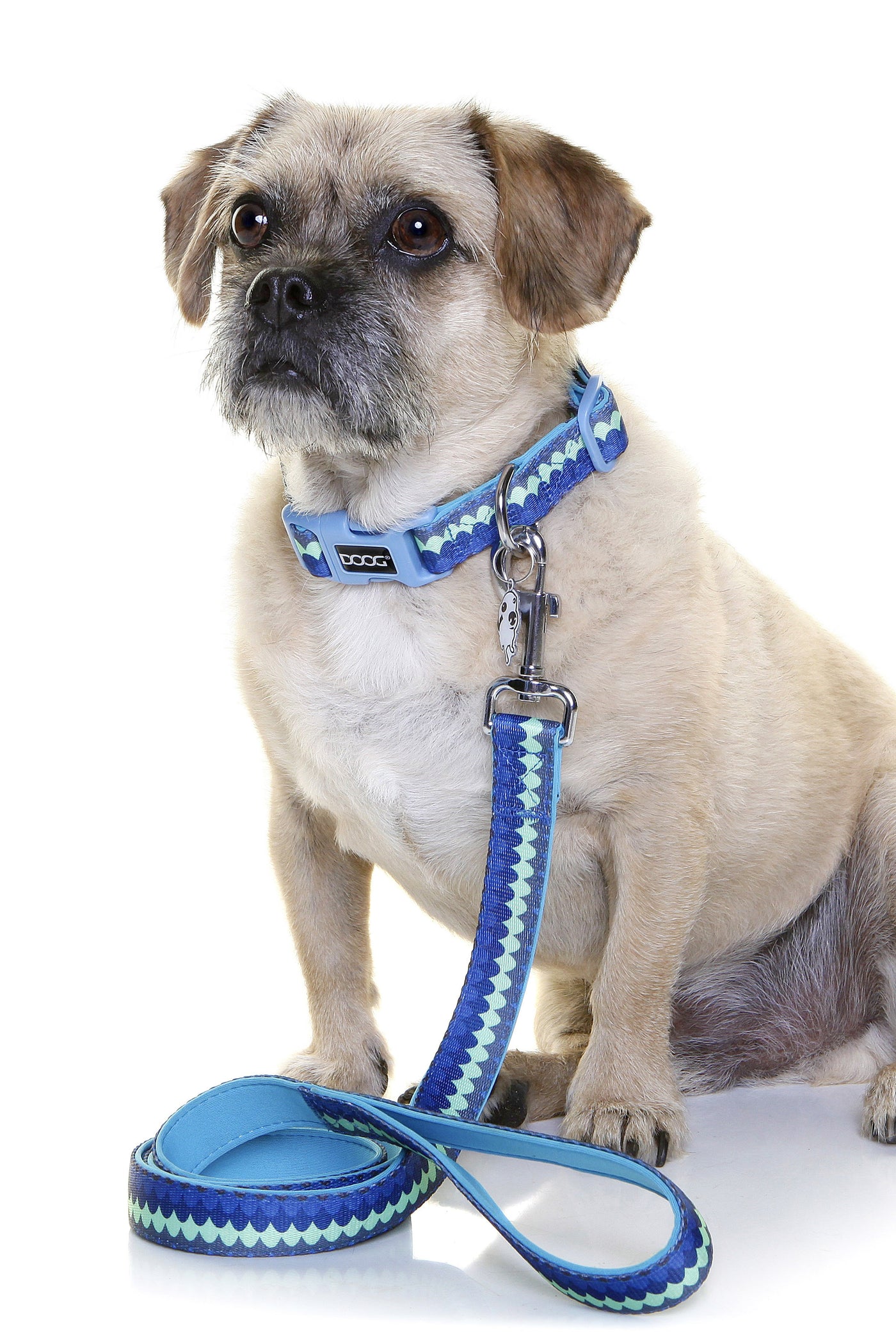 Neoprene Dog Collar
