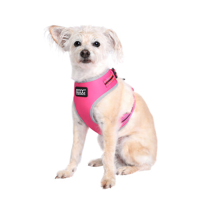 NEON 'CLIP IT' NEOPRENE DOG LEAD - LADY