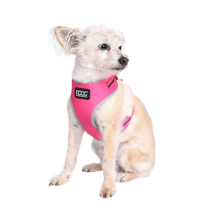 Neoflex Harness
