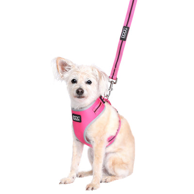 NEON 'CLIP IT' NEOPRENE DOG LEAD - LADY