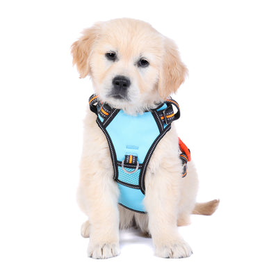 *NEW* NEOTECH HARNESS - RIN TIN