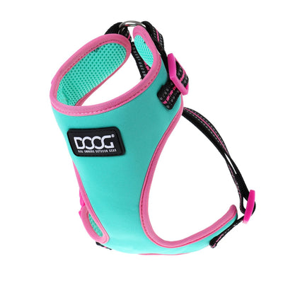 NEON 'CLIP IT' NEOPRENE DOG LEAD - RIN TIN TIN