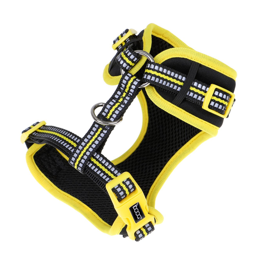 Neoflex Harness