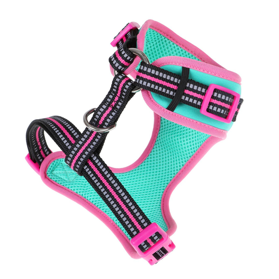 Neoflex Harness
