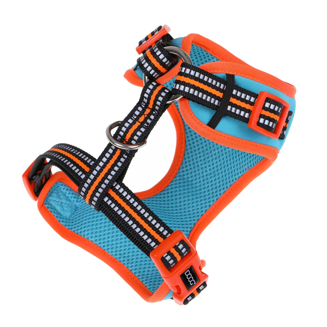 Neoflex Harness