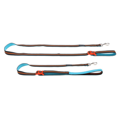 NEON 'CLIP IT' NEOPRENE DOG LEAD - BEETHOVEN