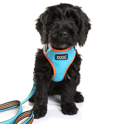 NEOFLEX SOFT HARNESS - NEON (BEETHOVEN)