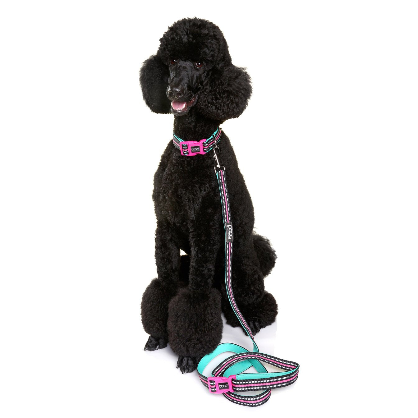 NEON 'CLIP IT' NEOPRENE DOG LEAD - RIN TIN TIN
