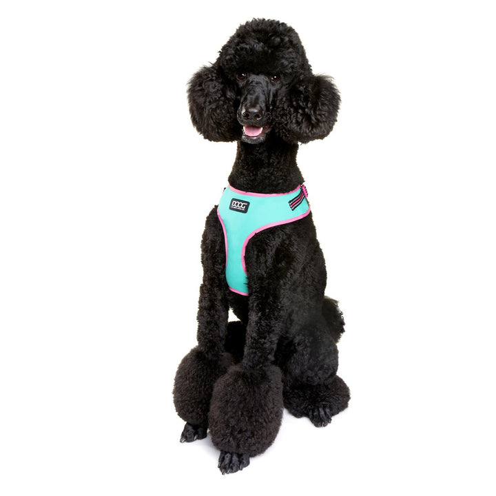 Neoflex Harness