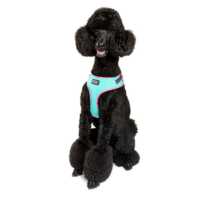 NEOFLEX SOFT HARNESS - NEON (RIN TIN TIN)