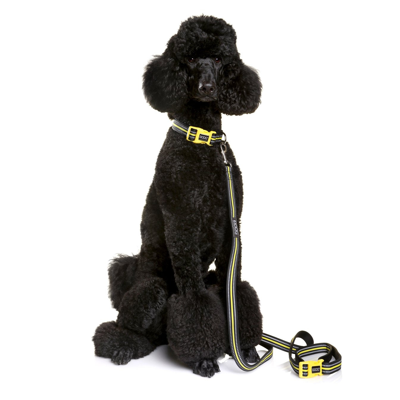 NEON 'CLIP IT' NEOPRENE DOG LEAD - BOLT