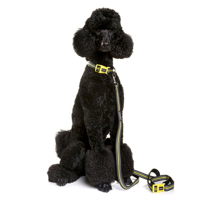 NEON 'CLIP IT' NEOPRENE DOG LEAD - BOLT