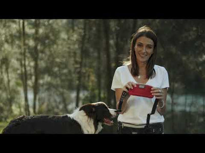 DOOG Walkie Belt - Black